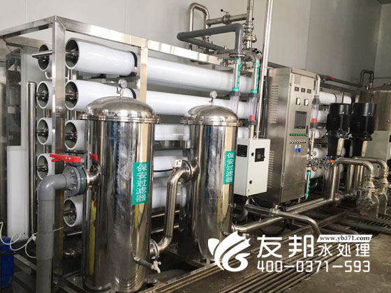 30吨纯净水设备