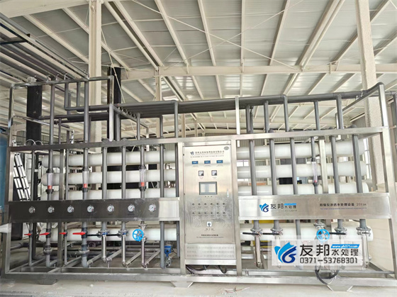 新疆格润化工20吨反渗透设备